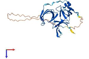 Spindlin 2B Protein (SPIN2B) (AA 1-258) (His tag)