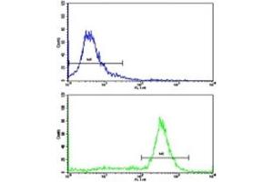 Flow Cytometry (FACS) image for anti-Prohibitin (PHB) (AA 92-121) antibody (ABIN3032314)