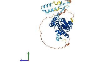 AlphaFold protein structure predicition of Human Recombinant ZDHHC23 Protein, UniprotID Q8IYP9