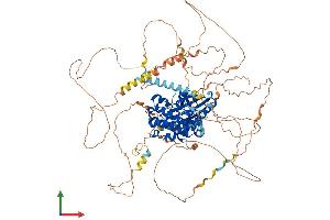 AlphaFold protein structure predicition of Mouse Recombinant Sik2 Protein, UniprotID Q8CFH6 (SIK2 Protein (AA 1-931) (His tag))