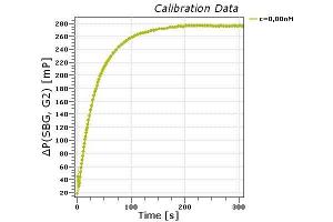 Binding kinetics: Measured in a homogeneous solution by kinetic Fluorescence Polarization (kFP) (Deoxynivalenol Antikörper)