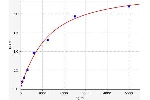 Typical standard curve (CCT8L1 ELISA Kit)