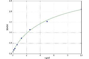A typical standard curve