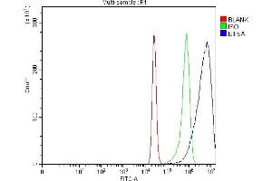 Flow Cytometry analysis of K562 cells using anti-EIF5A antibody (ABIN7602568).