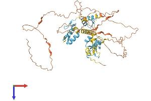 IKZF1 Protein (AA 1-517) (His tag)