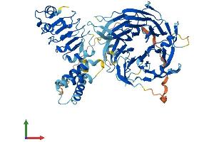 Protein Structure (PS) image for Leucine-Rich Repeat and WD Repeat-Containing Protein 1 (LRWD1) (AA 1-648) protein (His tag) (ABIN7564433)