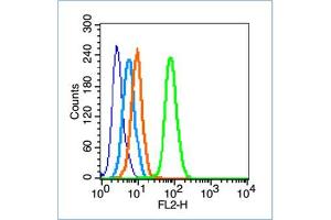 Image no. 1 for anti-PTK2 Protein tyrosine Kinase 2 (PTK2) (pTyr407) antibody (ABIN685078)