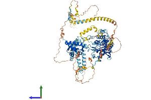 AlphaFold protein structure predicition of Mouse Recombinant Exosc10 Protein, UniprotID P56960