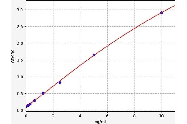 Monoamine Oxidase B ELISA Kit