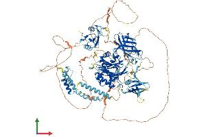 Protein Structure (PS) image for Inositol Polyphosphate-5-Phosphatase, 145kDa (INPP5D) (AA 1-1189) protein (His tag) (ABIN7555479)