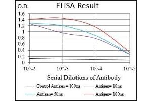 Black line: Control Antigen (100 ng), Purple line: Antigen(10 ng), Blue line: Antigen (50 ng), Red line: Antigen (100 ng), (Retinoblastoma 1 Antikörper  (AA 745-928))