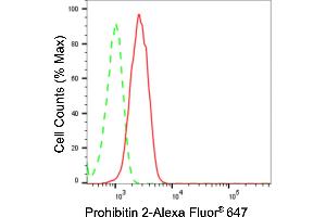Flow cytometric analysis of Prohibitin 2 expression in C2C12 cells using Prohibitin 2 antibody (ABIN7799912), 1:2,000). (Rekombinanter Prohibitin 2 Antikörper)