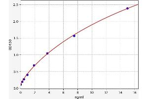 C1QA ELISA Kit