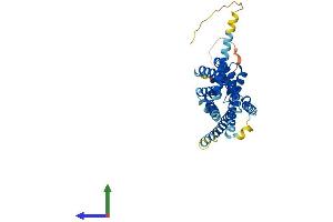 Protein Structure (PS) image for Melatonin Receptor 1B (MTNR1B) (AA 1-364) protein (His tag) (ABIN7559381)