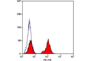 Staining of human peripheral blood lymphocytes with RAT ANTI HUMAN CD28:RPE (ABIN118584). (CD28 Antikörper  (PE))