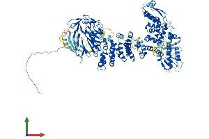 Protein Structure (PS) image for Hect Domain and RLD 5 (HERC5) (AA 1-1024) protein (His tag) (ABIN7554109)
