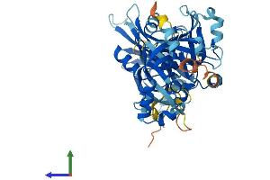 AlphaFold protein structure predicition of Mouse Recombinant Meiob Protein, UniprotID Q9D513