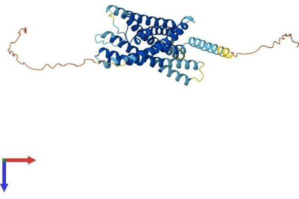GPR34 Protein (AA 1-375) (His tag)