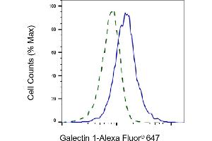 Validation of Galectin 1 knockdown using flow cytometry.