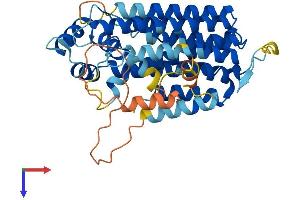 PDSS2 Protein (AA 1-401) (His tag)