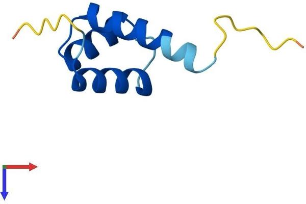 HOPX Protein (AA 1-73) (Fc Tag)