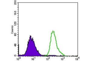 Flow Cytometry (FACS) image for anti-Purinergic Receptor P2Y, G-Protein Coupled, 13 (P2RY13) (AA 1-49) antibody (ABIN1845370)