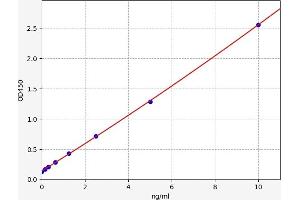 CDK2 ELISA Kit