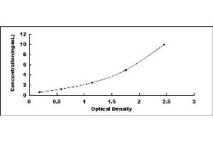 Typical standard curve (COL1A2 ELISA Kit)
