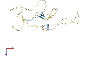 CDC42EP4 Protein (AA 1-356) (His tag)