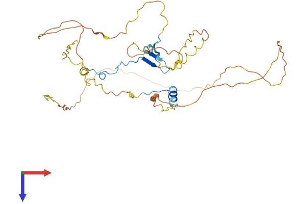 CDC42EP4 Protein (AA 1-356) (His tag)
