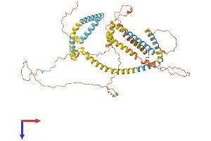 PLIN1 Protein (AA 1-522) (His tag)