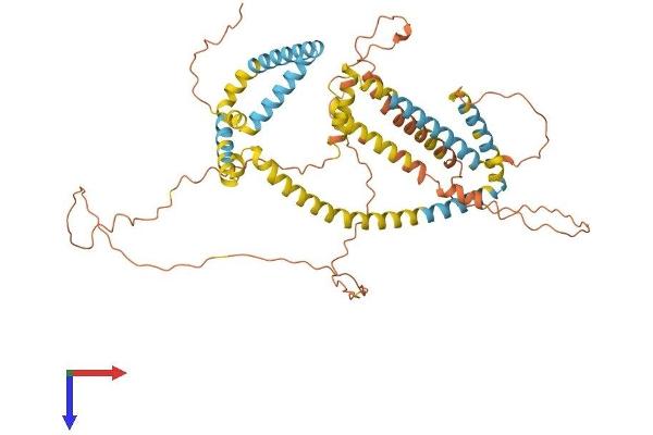 PLIN1 Protein (AA 1-522) (His tag)