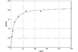 Heat Shock 60kDa Protein 1 (Chaperonin) (HSPD1) ELISA Kit