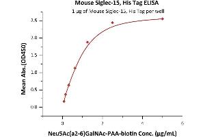 Immobilized Mouse Siglec-15, His Tag (ABIN6731346,ABIN6809872) at 10 μg/mL (100 μL/well) can bind Neu5Ac(a2-6)GalNAc-n with a linear range of 0.