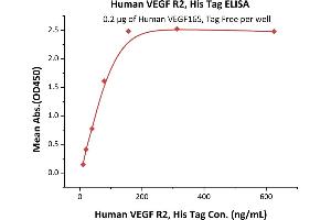 ELISA image for VEGF Receptor 2 (VEGFR2) (AA 20-764) (Active) protein (His tag) (ABIN6253722)