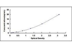 Kinesin Family Member 18A (KIF18A) ELISA Kit