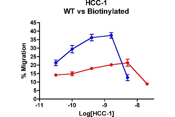 CCL14 Protein (AA 28-93)