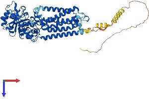 GDPD5 Protein (AA 1-607) (His tag)