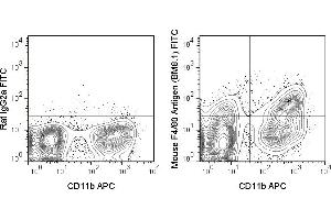 C57Bl/6 bone marrow cells were stained with APC Anti-Mouse CD11b (ABIN6961412) and 0. (F4/80 Antikörper  (FITC))