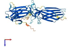 ARR3 Protein (AA 1-381) (His tag)