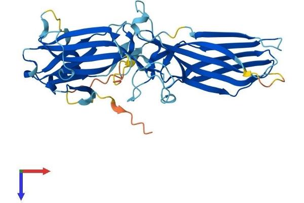 ARR3 Protein (AA 1-381) (His tag)