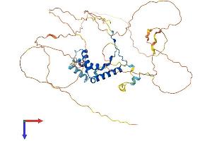 SOX10 Protein (AA 1-466) (His tag)