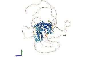 AlphaFold protein structure predicition of Human Recombinant SWT1 Protein, UniprotID Q5T5J6