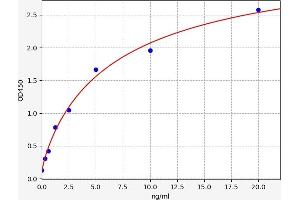 S100 Calcium Binding Protein A11 (S100A11) ELISA Kit