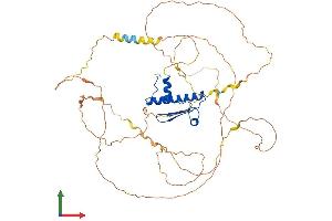 Protein Structure (PS) image for Myocyte Enhancer Factor 2D (MEF2D) (AA 1-514) protein (His tag) (ABIN7557802)