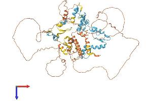 Zinc Finger and BTB Domain Containing 1 (ZBTB1) (AA 1-713) protein (His tag)