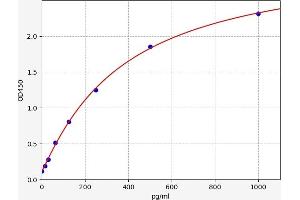 RUNX1T1 ELISA Kit