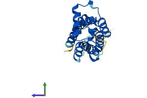 Protein Structure (PS) image for Transmembrane Protein 97 (TMEM97) (AA 1-176) protein (His tag) (ABIN7544697)