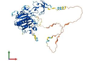 Protein Structure (PS) image for APEX Nuclease (Apurinic/apyrimidinic Endonuclease) 2 (APEX2) (AA 1-516) protein (His tag) (ABIN7564010)