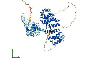 Protein Structure (PS) image for Fanconi Anemia, Complementation Group E (FANCE) (AA 1-536) protein (His tag) (ABIN7547623)